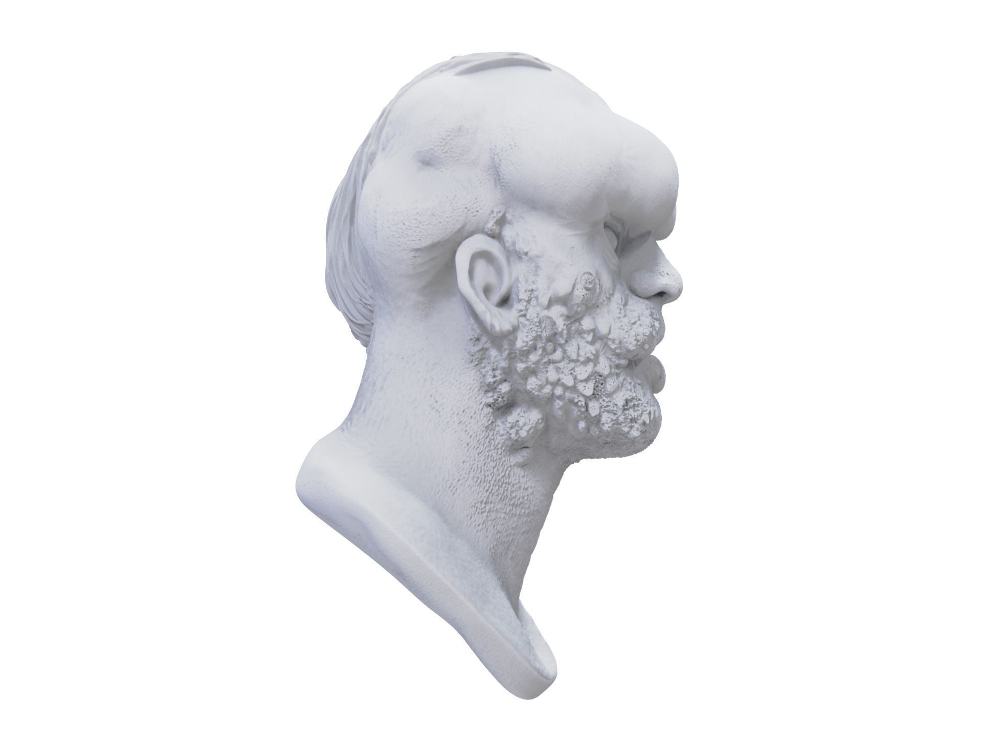 The Elephant man 3D model 3D printable | CGTrader