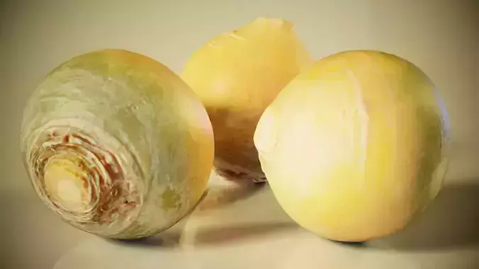 Yellow Turnip Low-poly 3D model