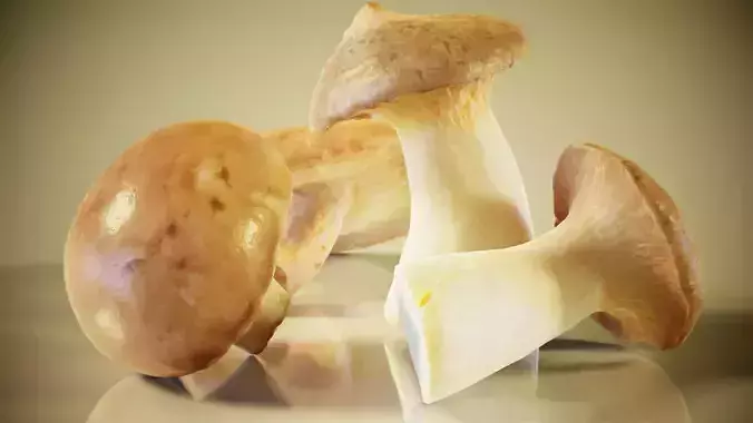 Mushrooms three on table Low-poly 3D model