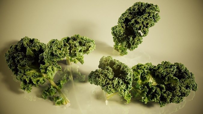 Lettuce kale Low-poly 3D model 4