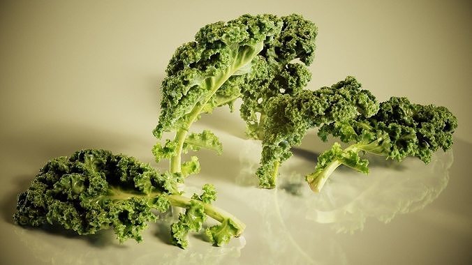 Lettuce kale Low-poly 3D model 6