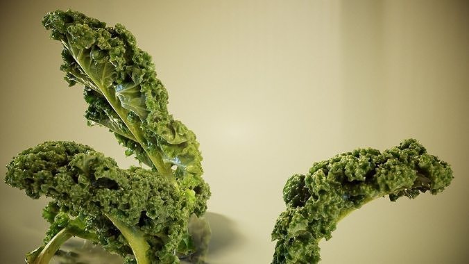 Lettuce kale Low-poly 3D model 5