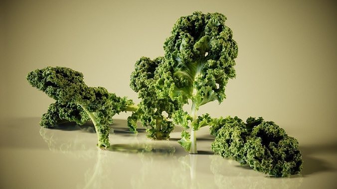 Lettuce kale Low-poly 3D model 7