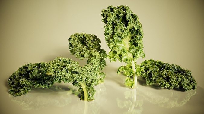 Lettuce kale Low-poly 3D model 2