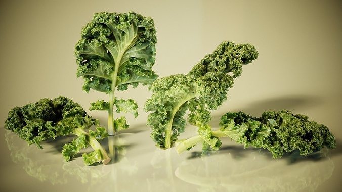 Lettuce kale Low-poly 3D model