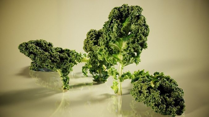 Lettuce kale Low-poly 3D model 3