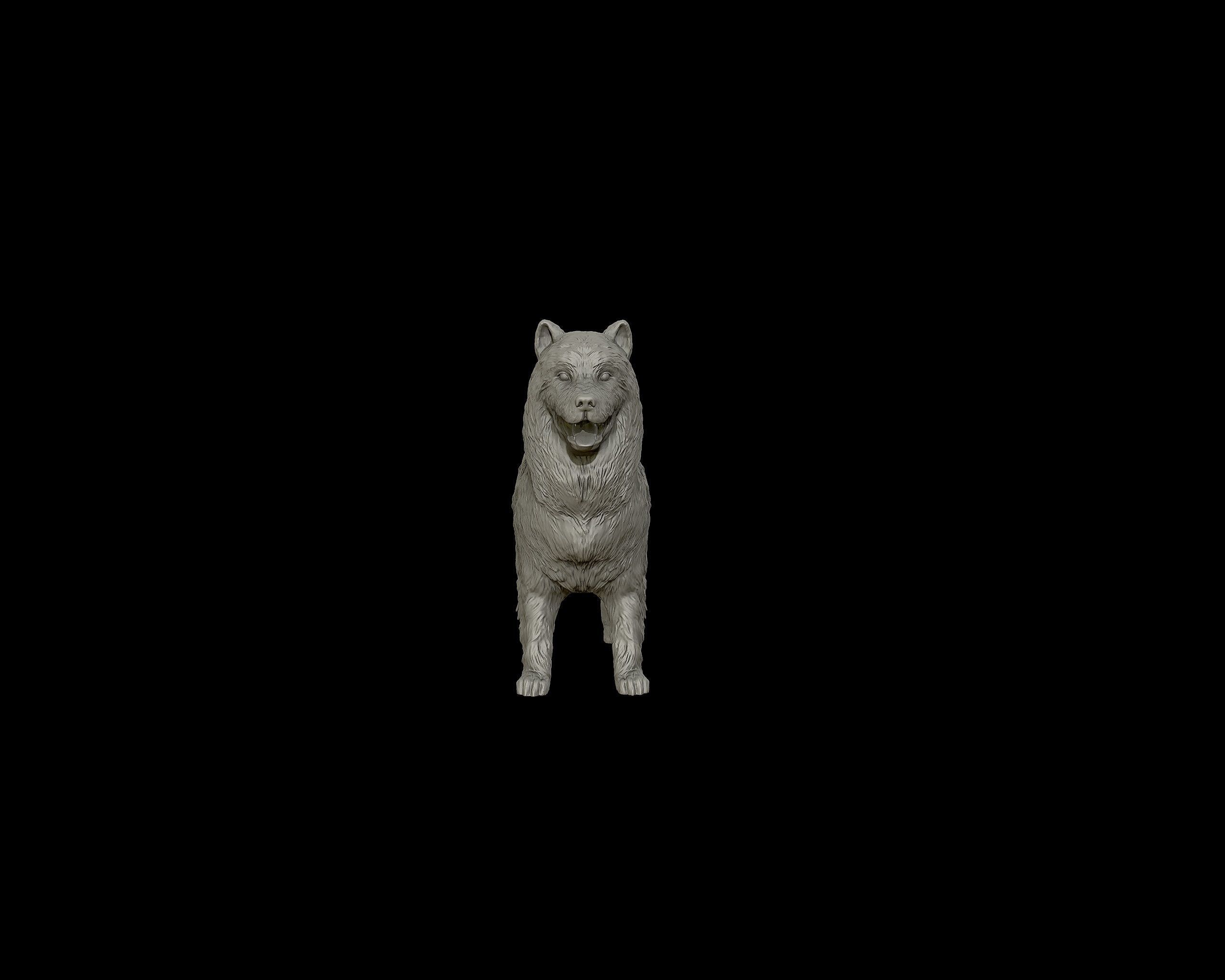 Samoyed model dog 3D print model_11
