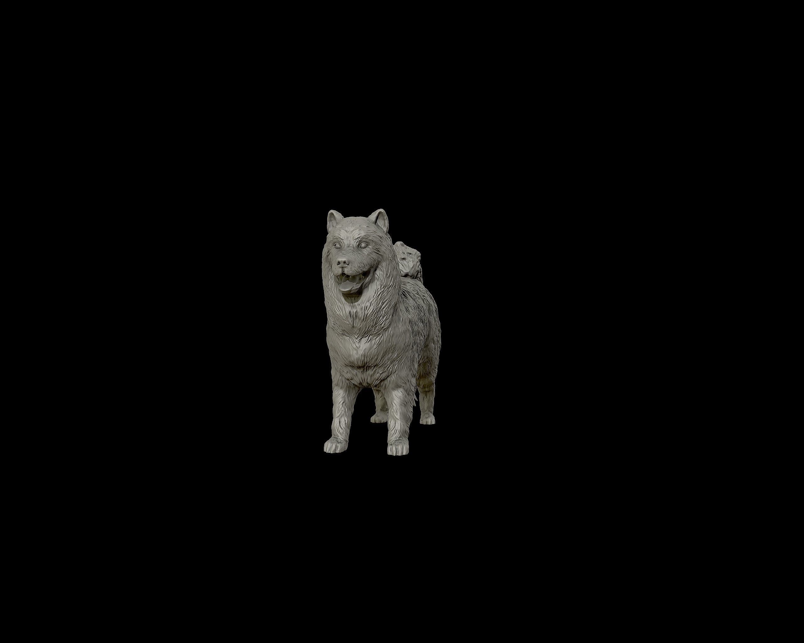 Samoyed model dog 3D print model_12
