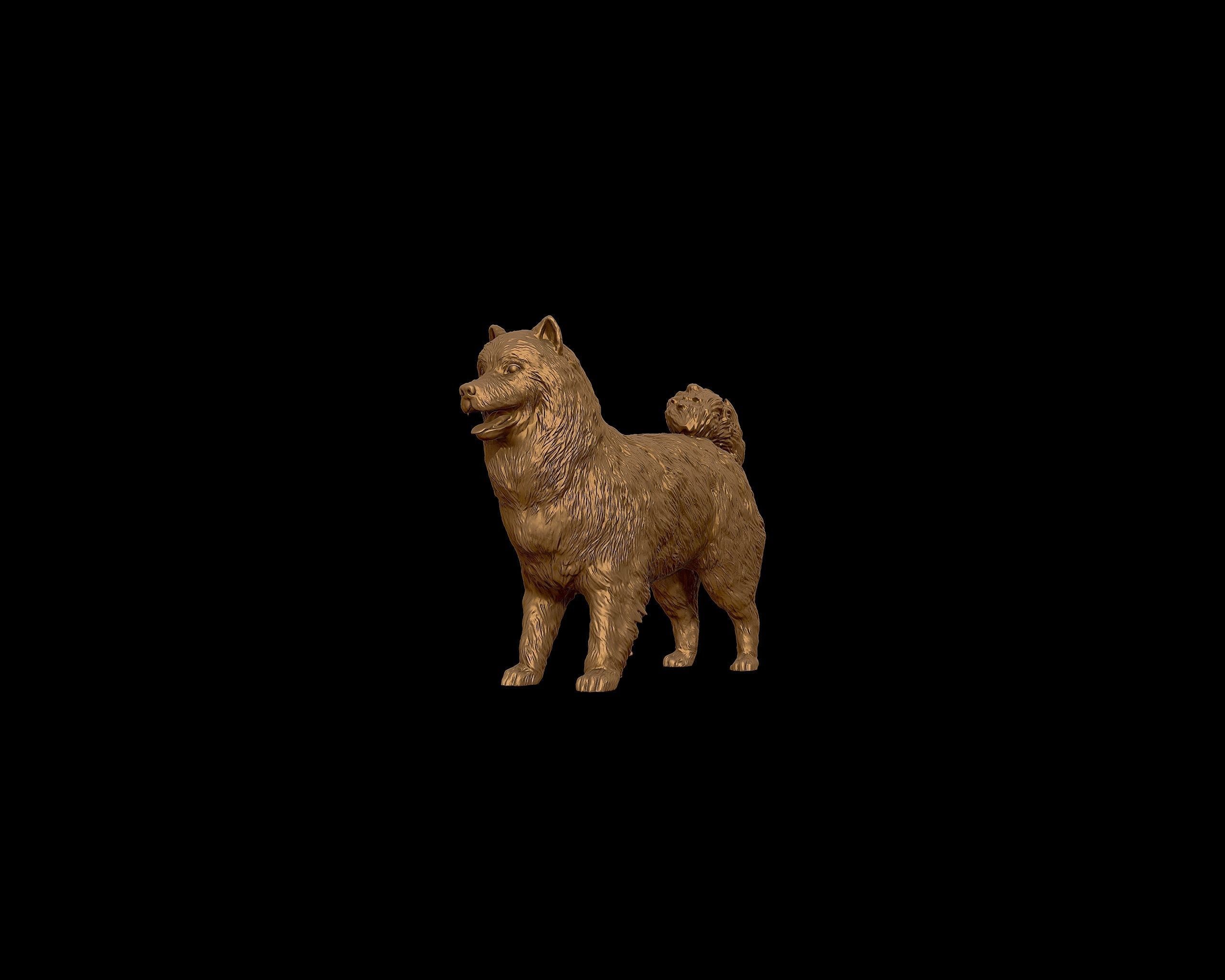 Samoyed model dog 3D print model_28