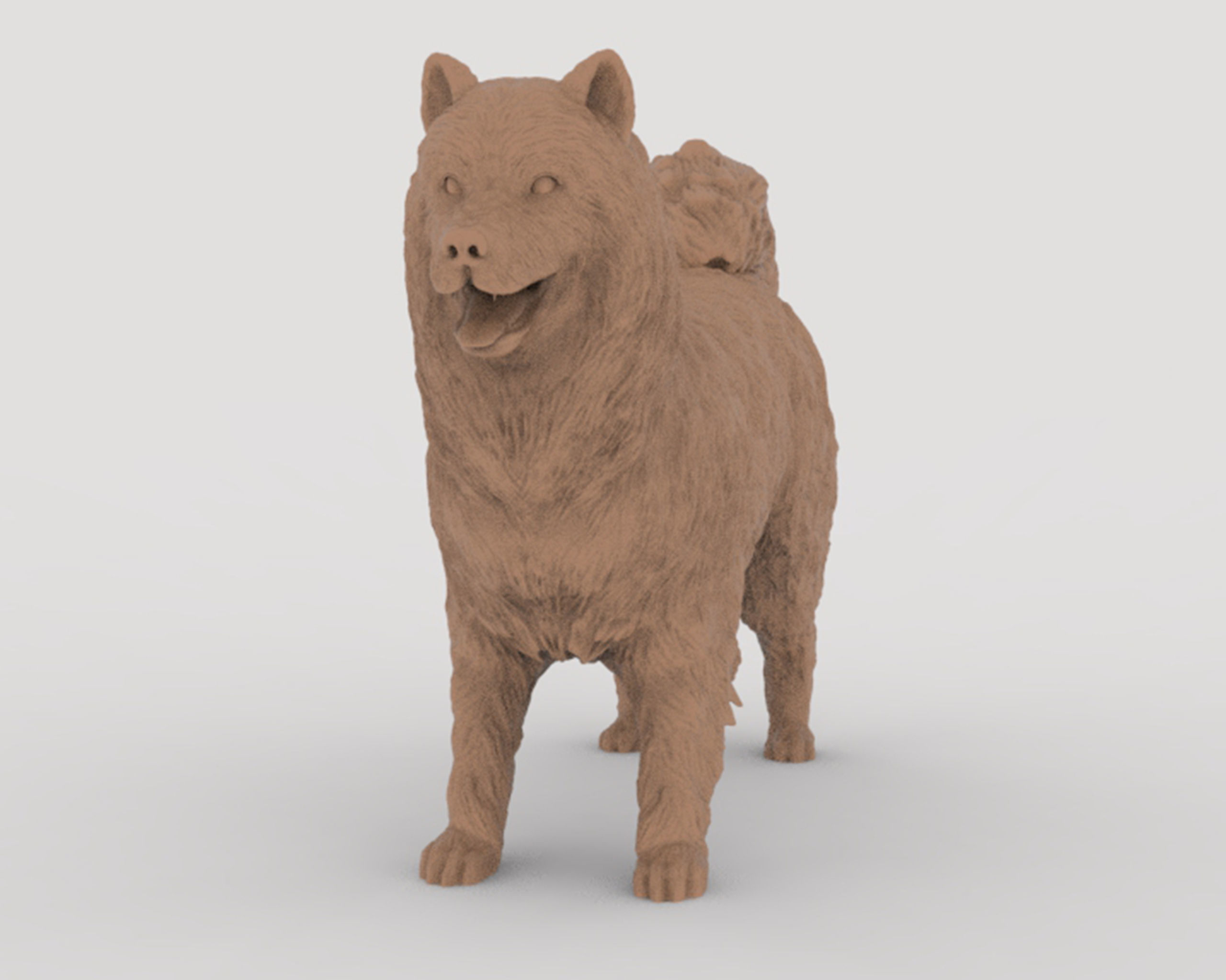 Samoyed model dog 3D print model_4