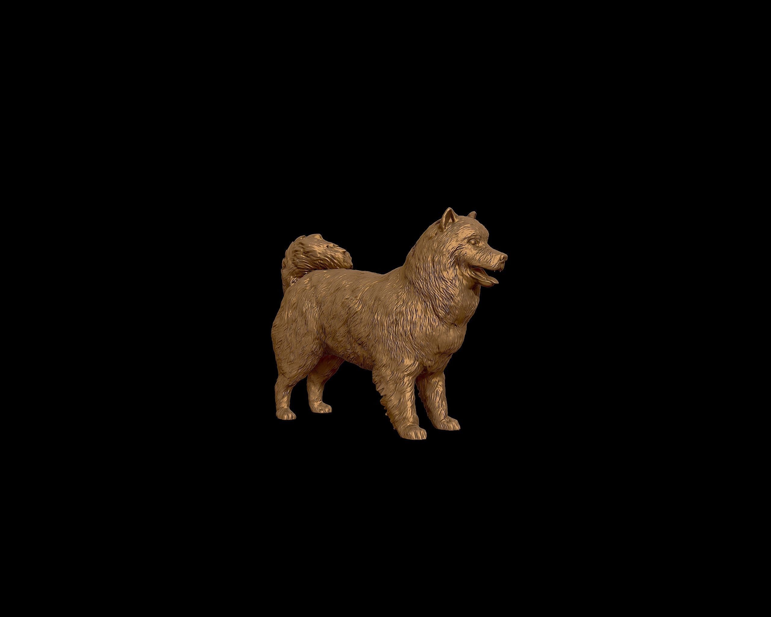 Samoyed model dog 3D print model_29