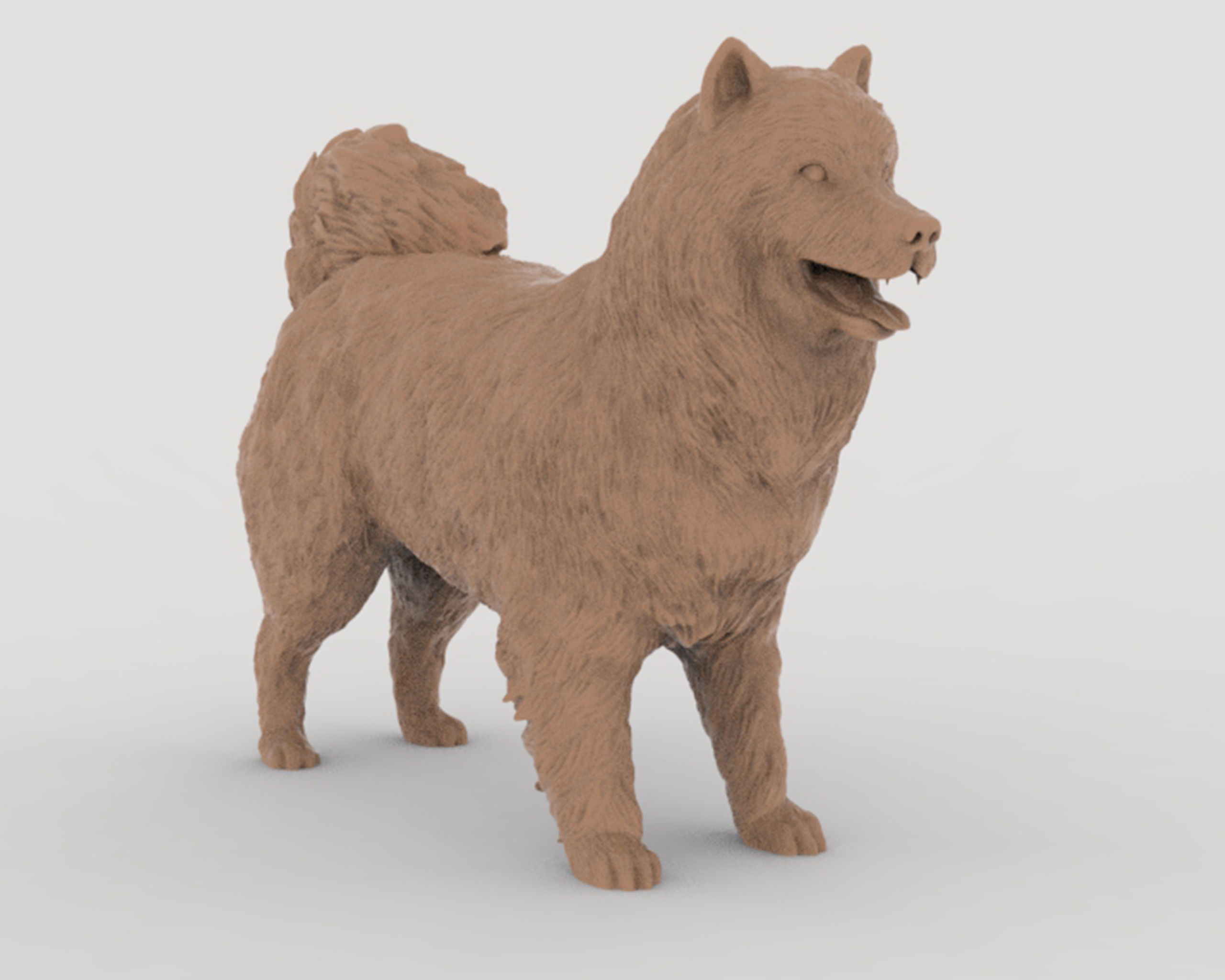 Samoyed model dog 3D print model_8