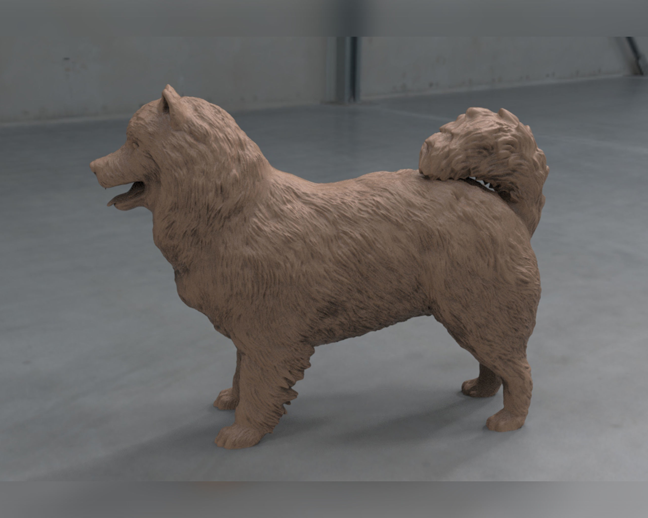 Samoyed model dog 3D print model_6