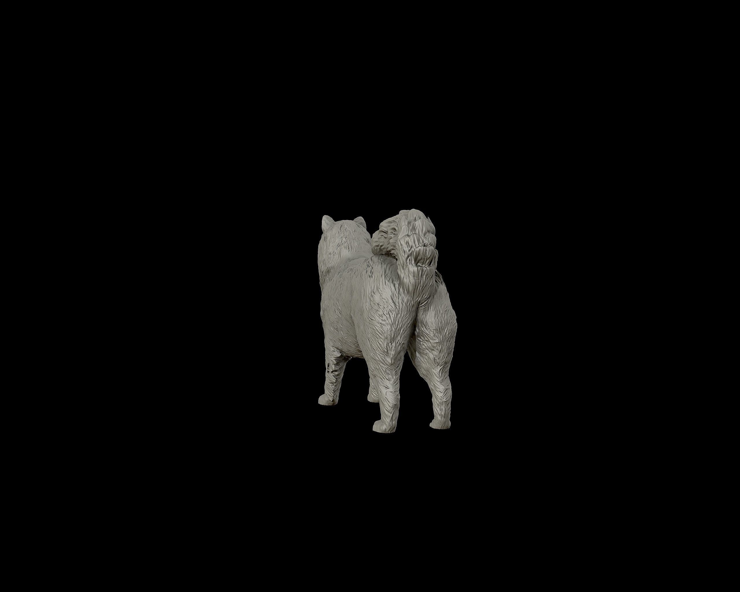 Samoyed model dog 3D print model_20