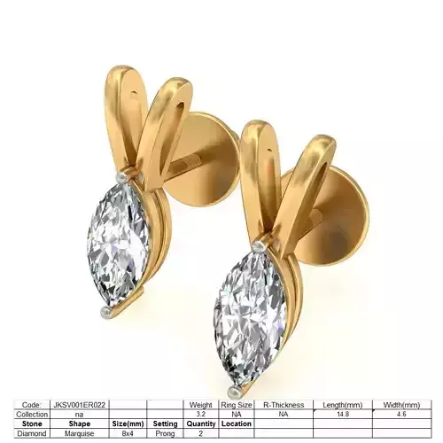 Women earrings