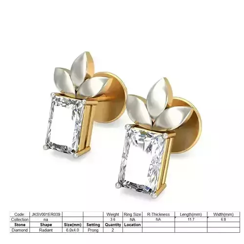Women earrings