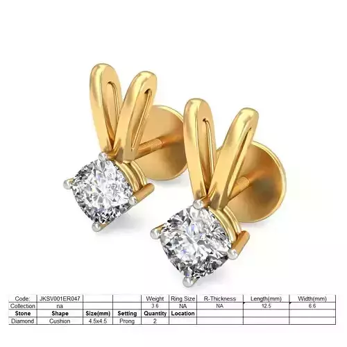 Women earrings