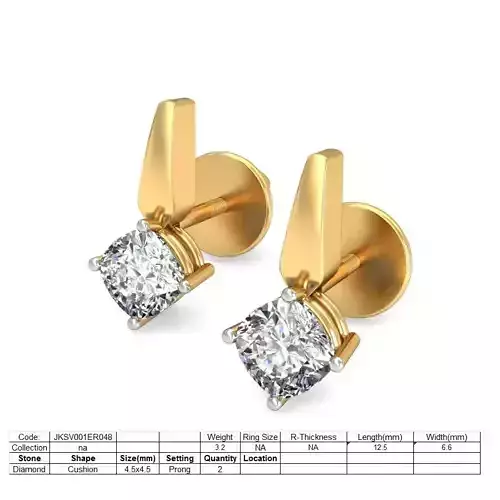 Women earrings