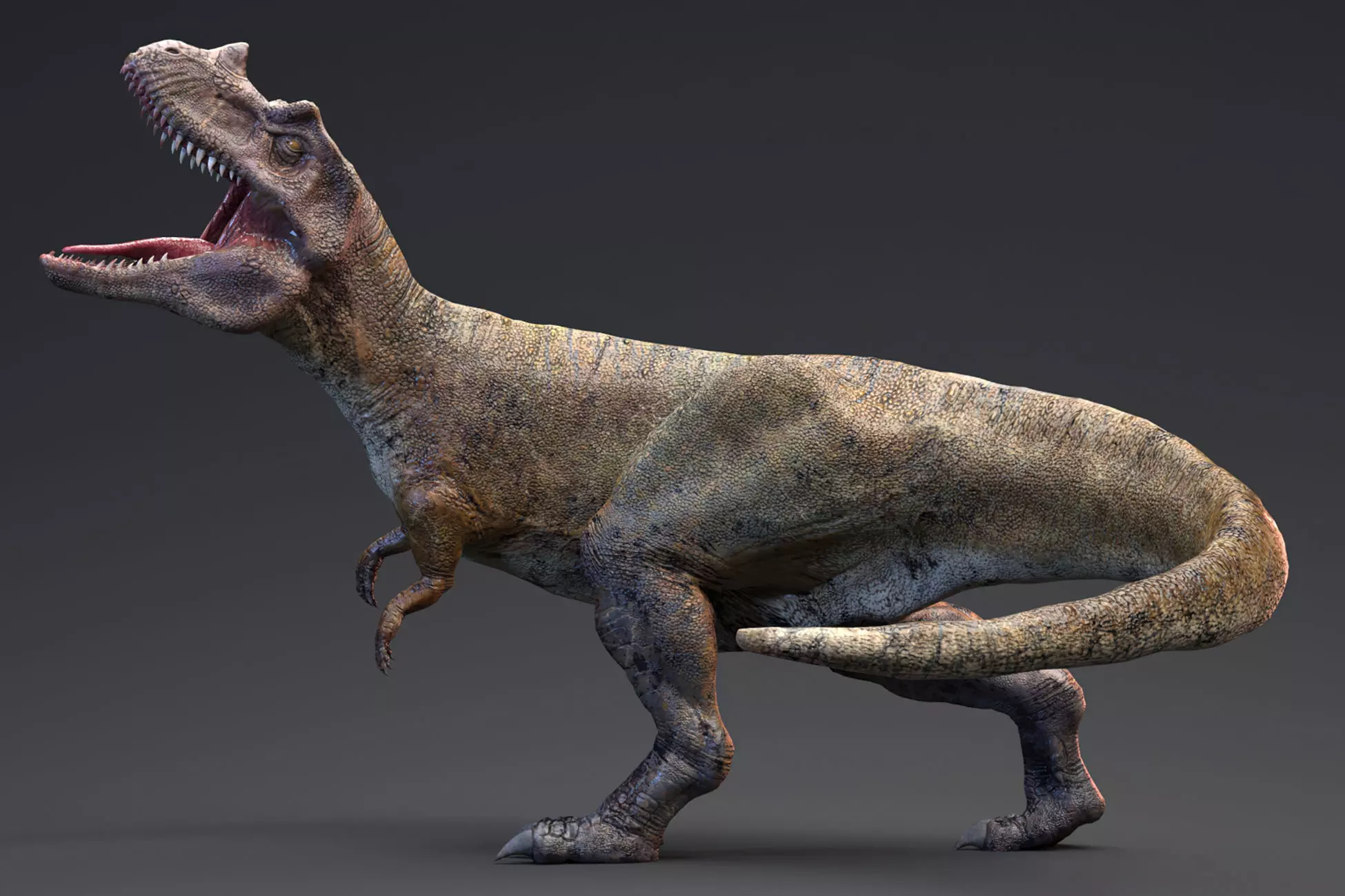 Dinosaur Ceratosaurus Project - Unreal Engine - Unity Low-poly 3D model_0