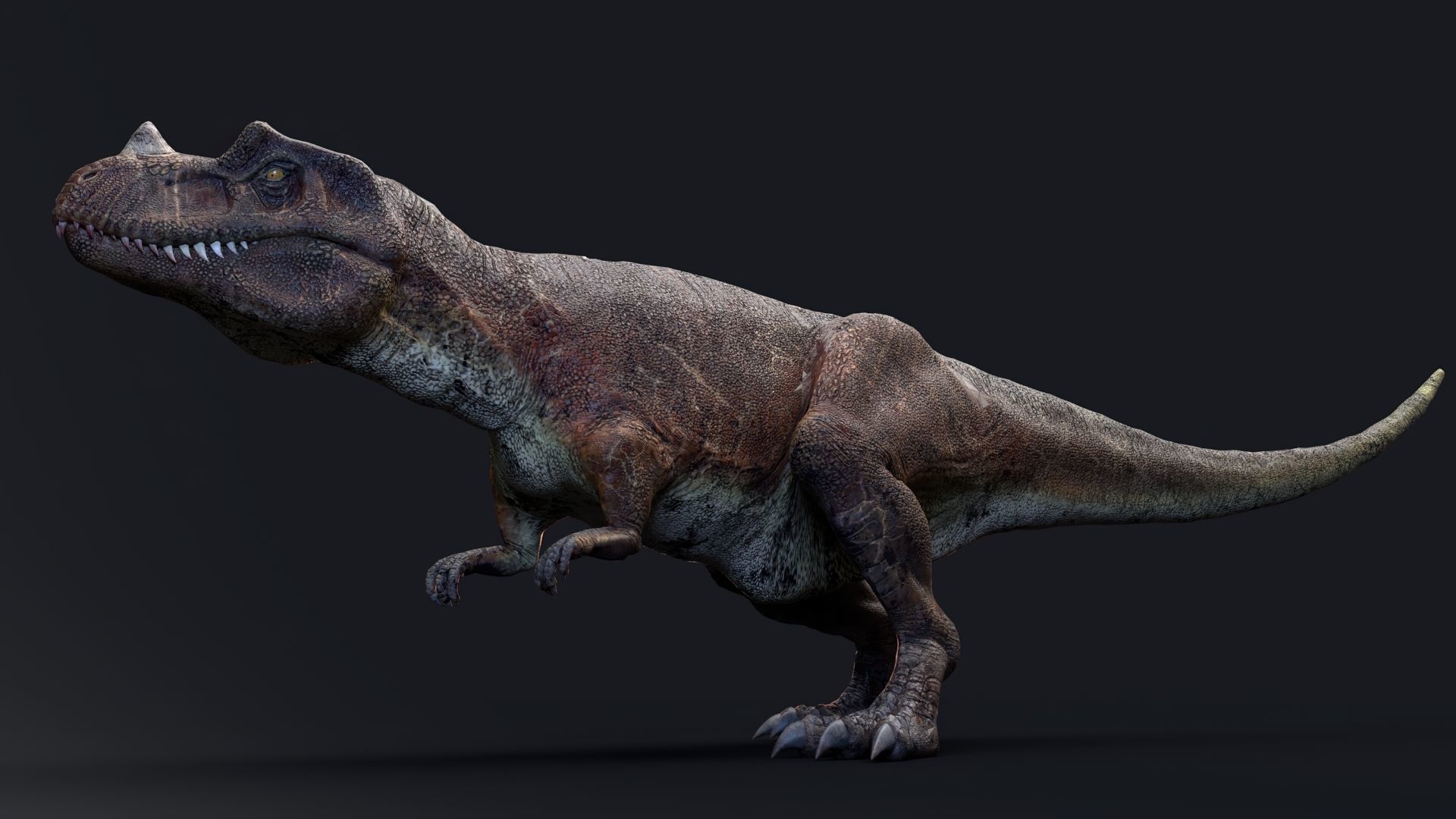 Dinosaur Ceratosaurus Project - Unreal Engine - Unity Low-poly 3D model_18