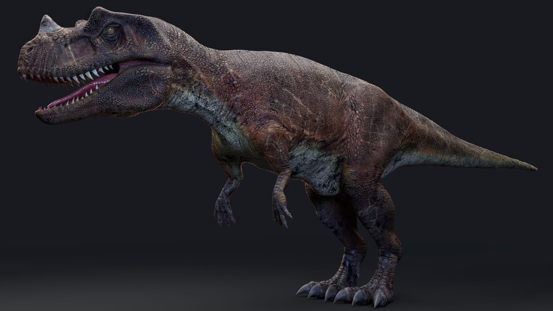 Dinosaur Ceratosaurus Project - Unreal Engine - Unity Low-poly 3D model_8