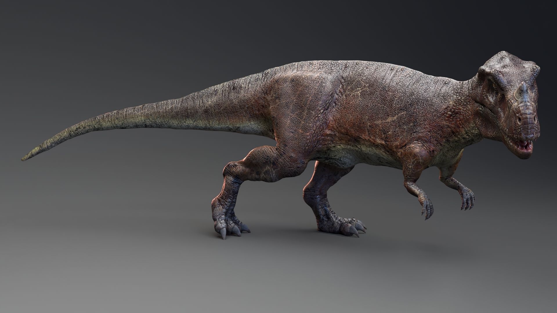 Dinosaur Ceratosaurus Project - Unreal Engine - Unity Low-poly 3D model_16