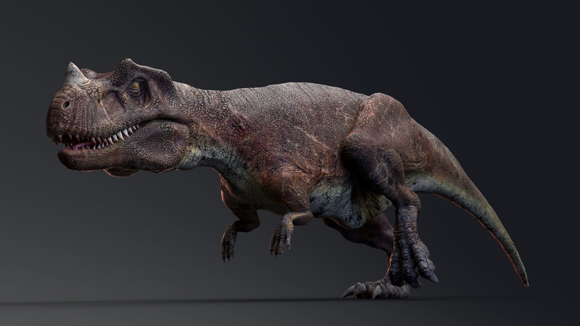 Dinosaur Ceratosaurus Project - Unreal Engine - Unity Low-poly 3D model_19