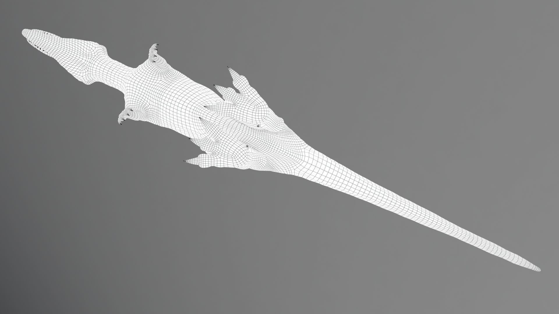 Dinosaur Ceratosaurus Project - Unreal Engine - Unity Low-poly 3D model_23