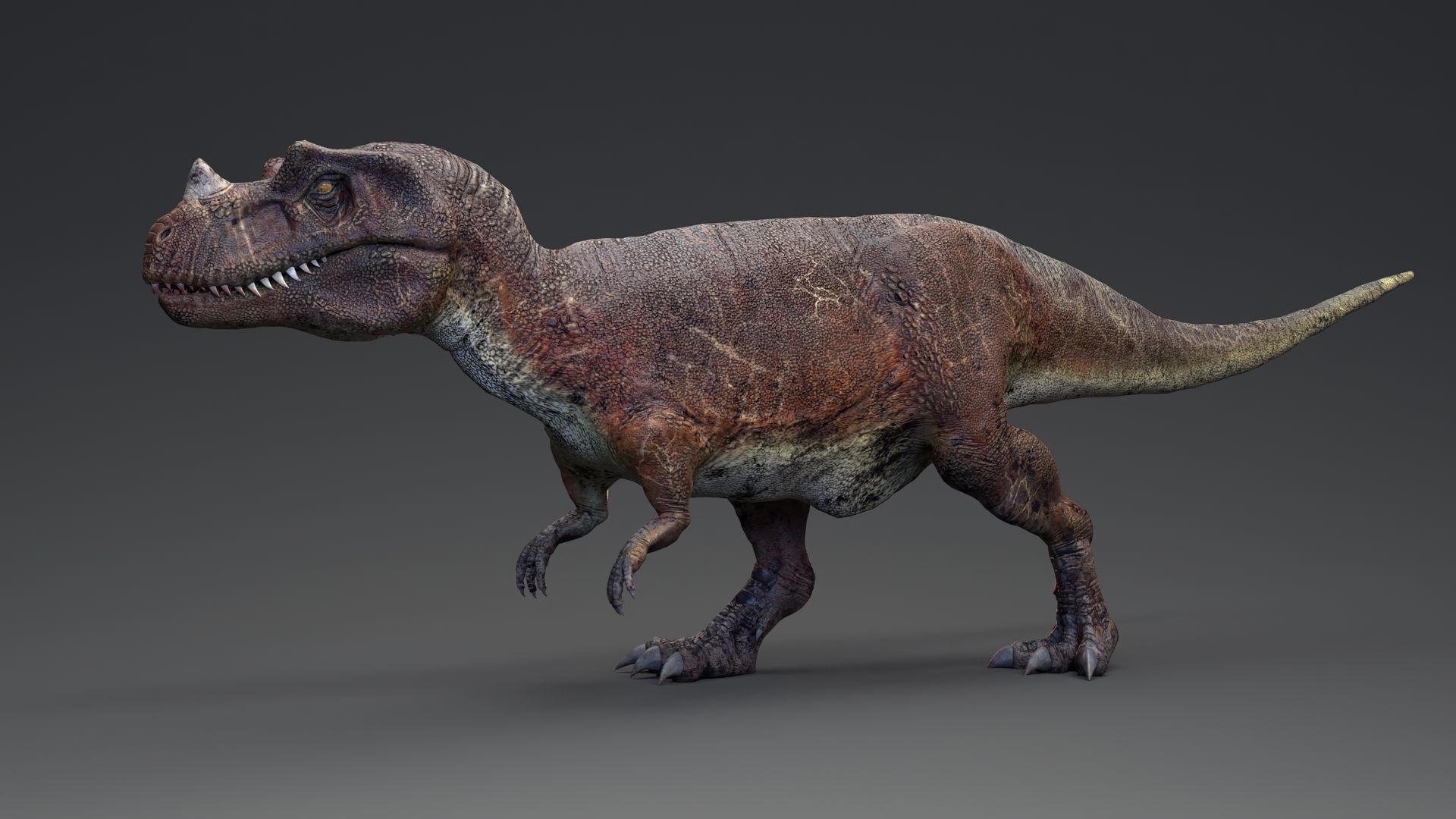 Dinosaur Ceratosaurus Project - Unreal Engine - Unity Low-poly 3D model_14