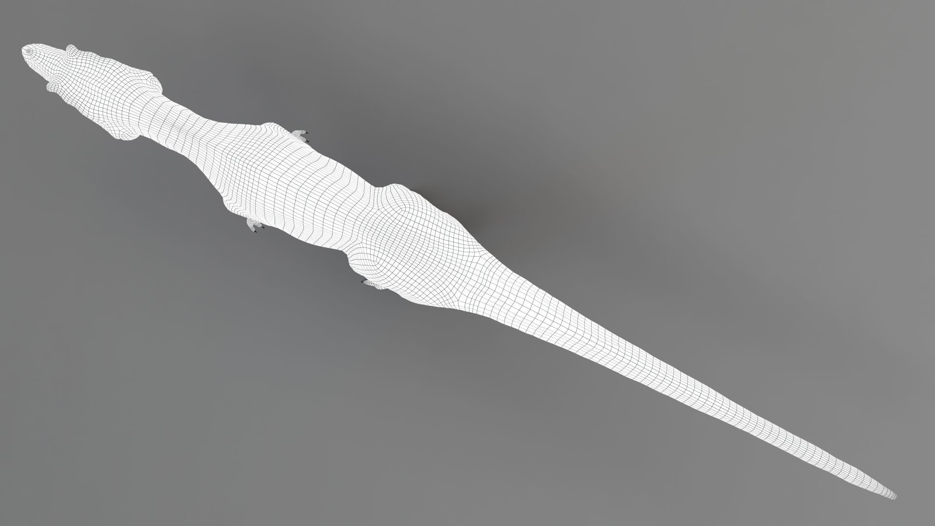 Dinosaur Ceratosaurus Project - Unreal Engine - Unity Low-poly 3D model_22