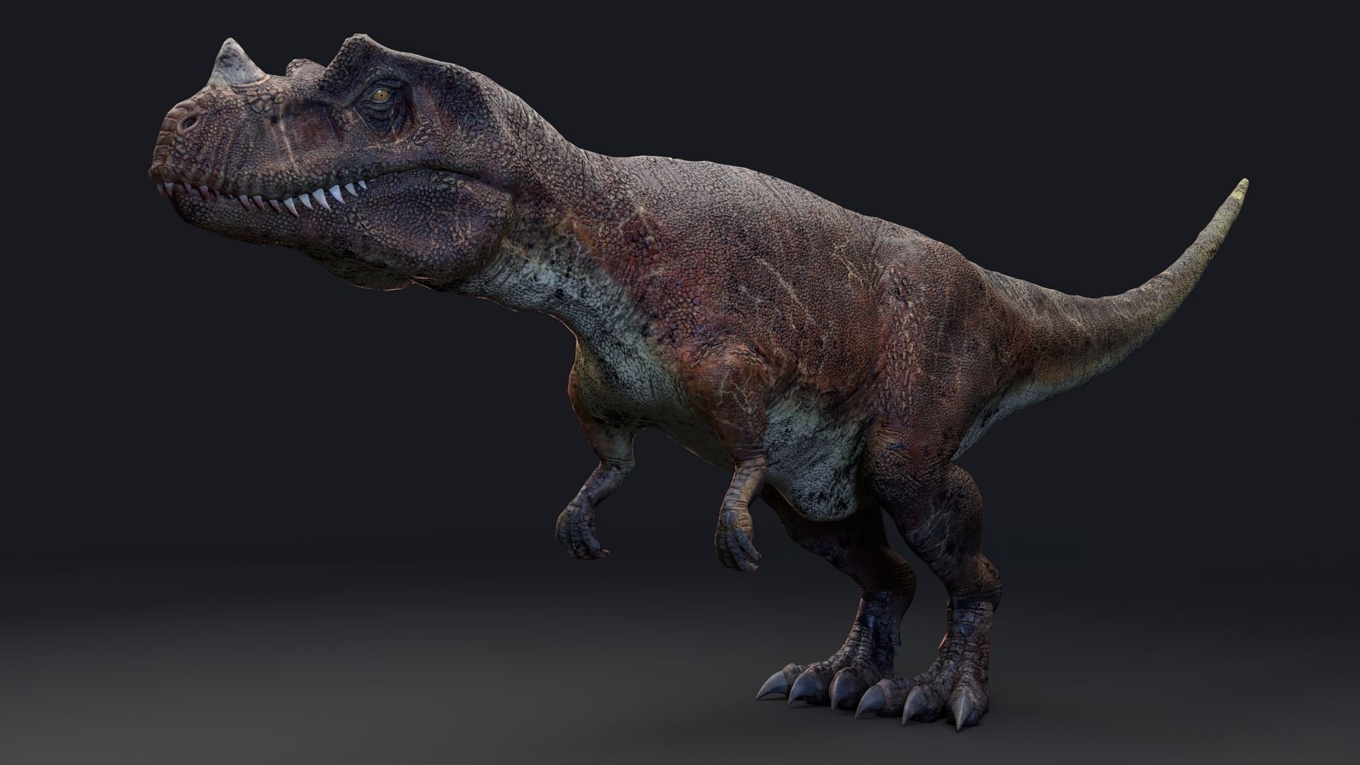 Dinosaur Ceratosaurus Project - Unreal Engine - Unity Low-poly 3D model_17