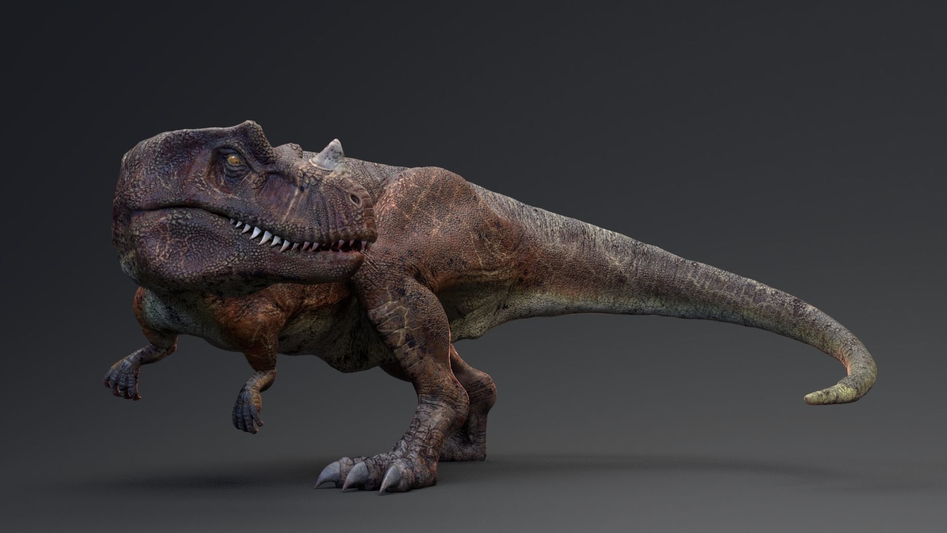 Dinosaur Ceratosaurus Project - Unreal Engine - Unity Low-poly 3D model_6