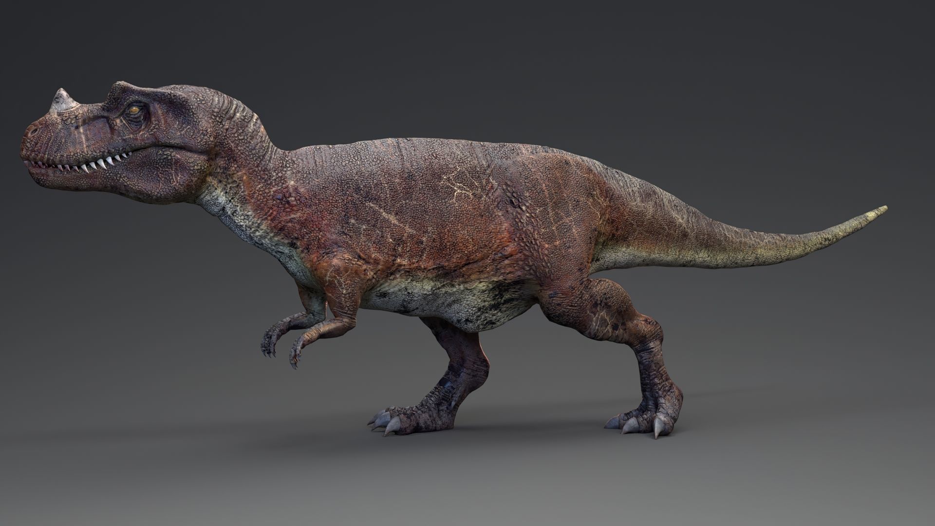 Dinosaur Ceratosaurus Project - Unreal Engine - Unity Low-poly 3D model_15