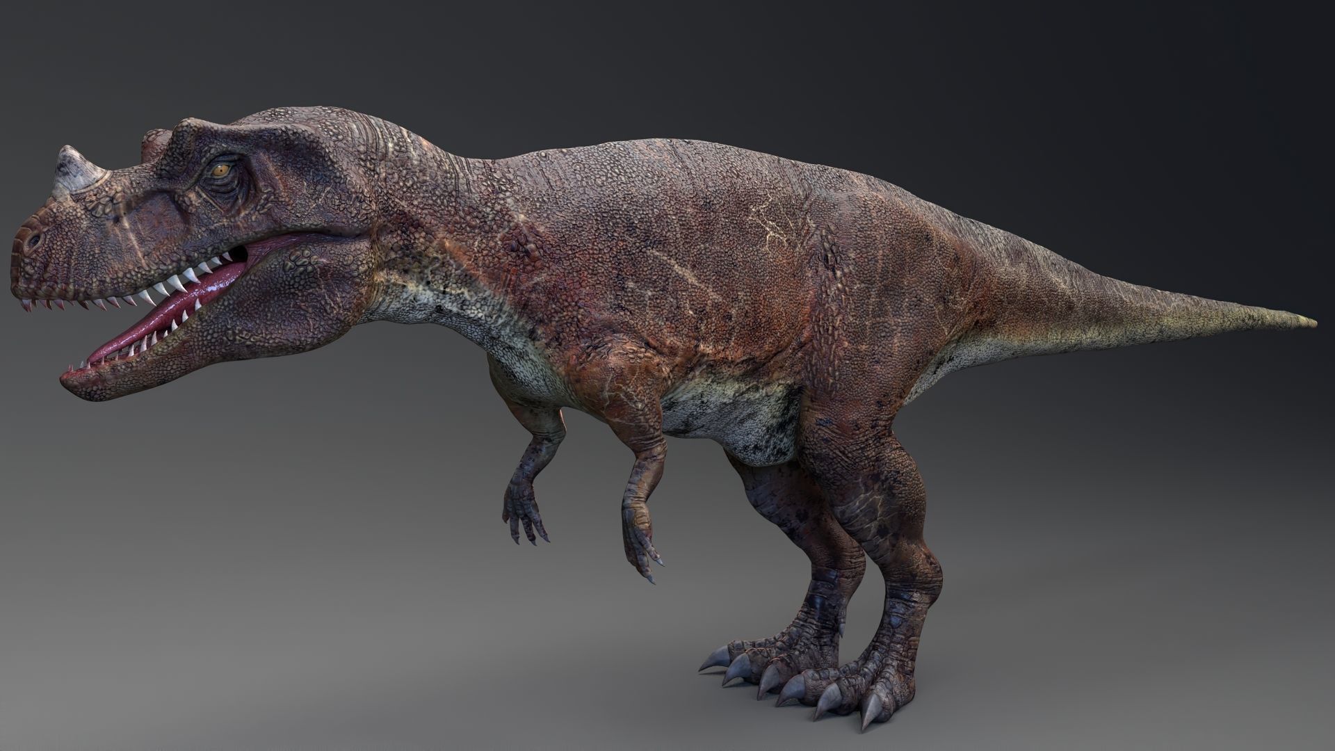 Dinosaur Ceratosaurus Project - Unreal Engine - Unity Low-poly 3D model_4