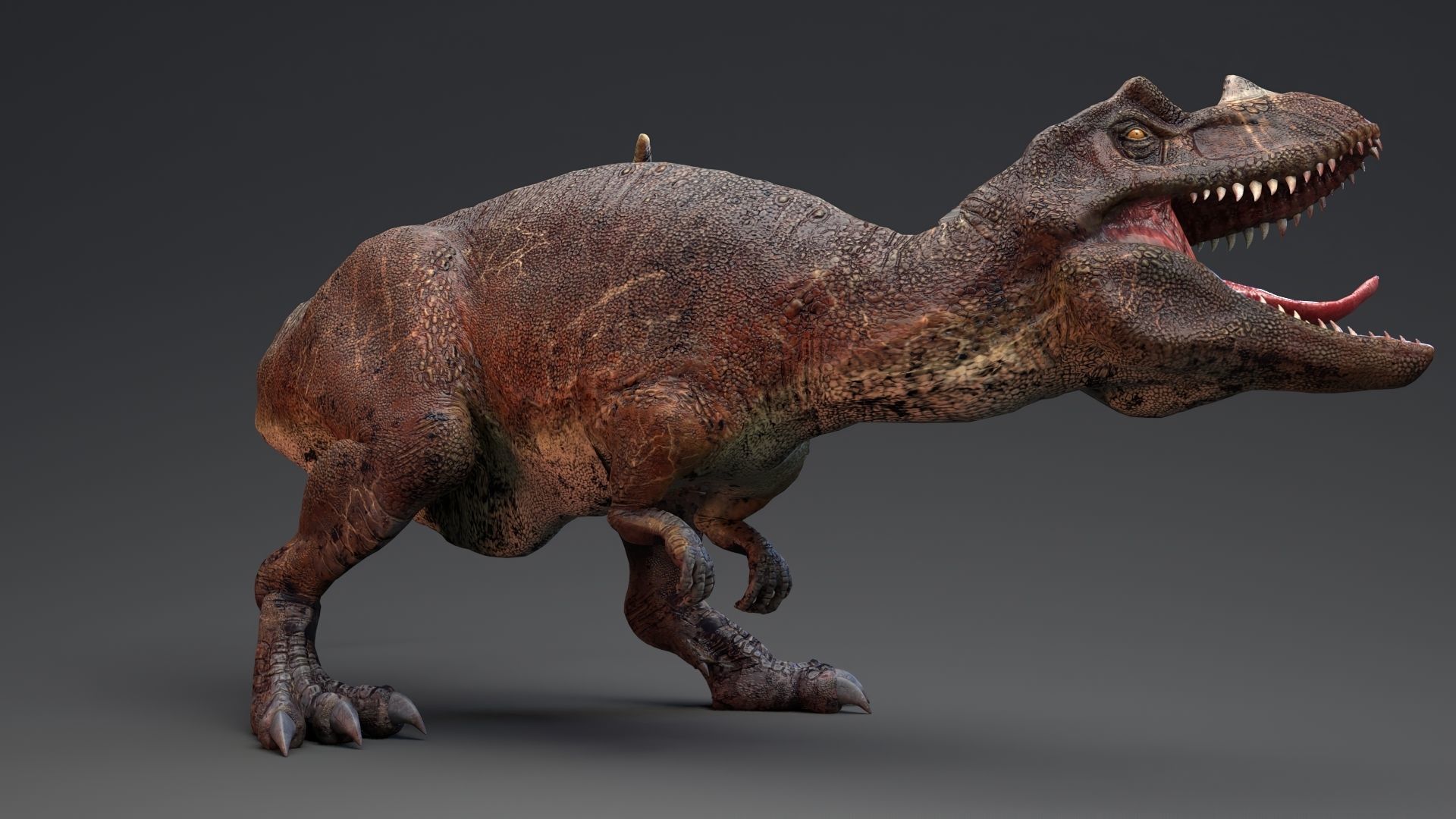 Dinosaur Ceratosaurus Project - Unreal Engine - Unity Low-poly 3D model_12