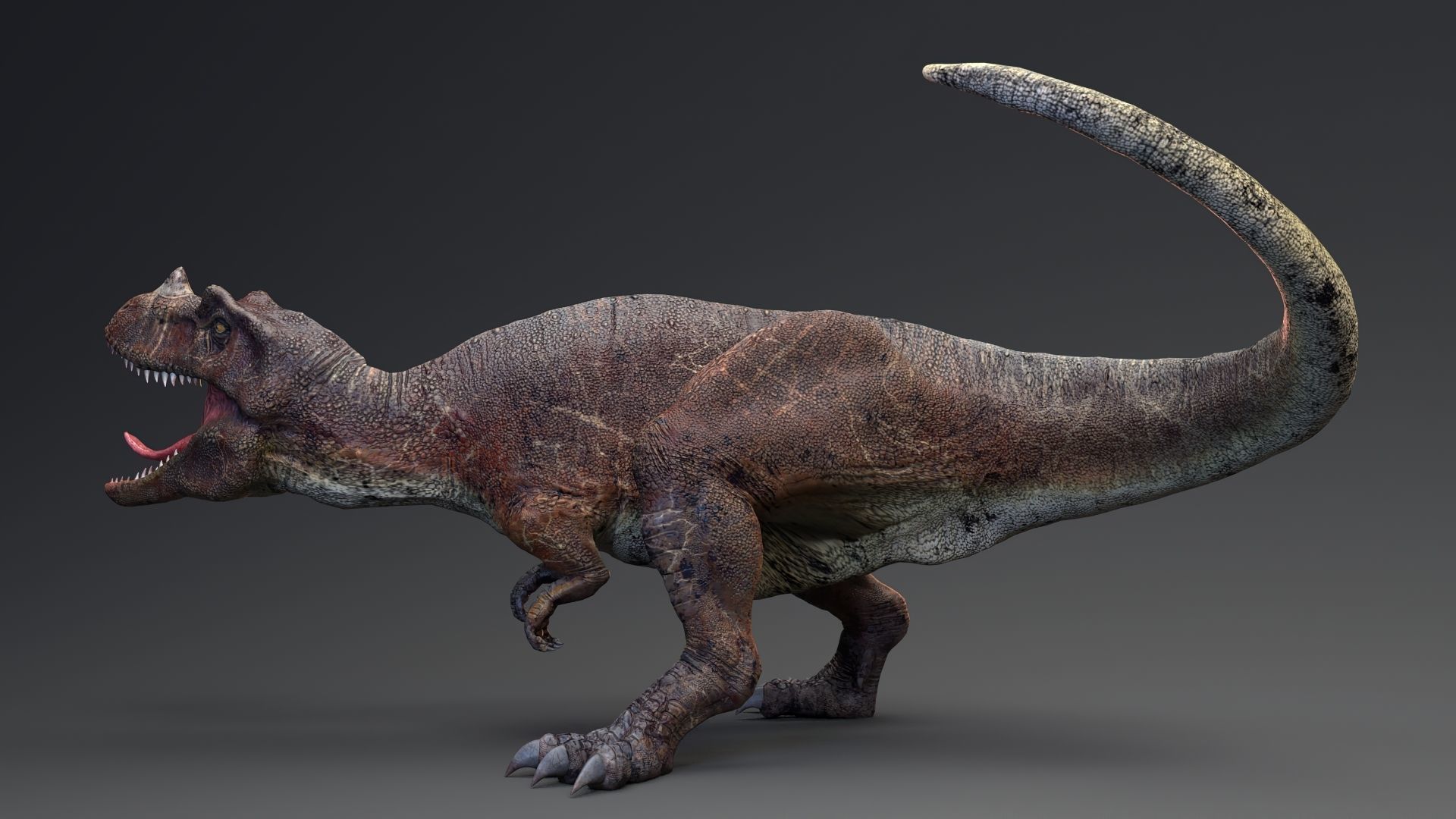 Dinosaur Ceratosaurus Project - Unreal Engine - Unity Low-poly 3D model_11