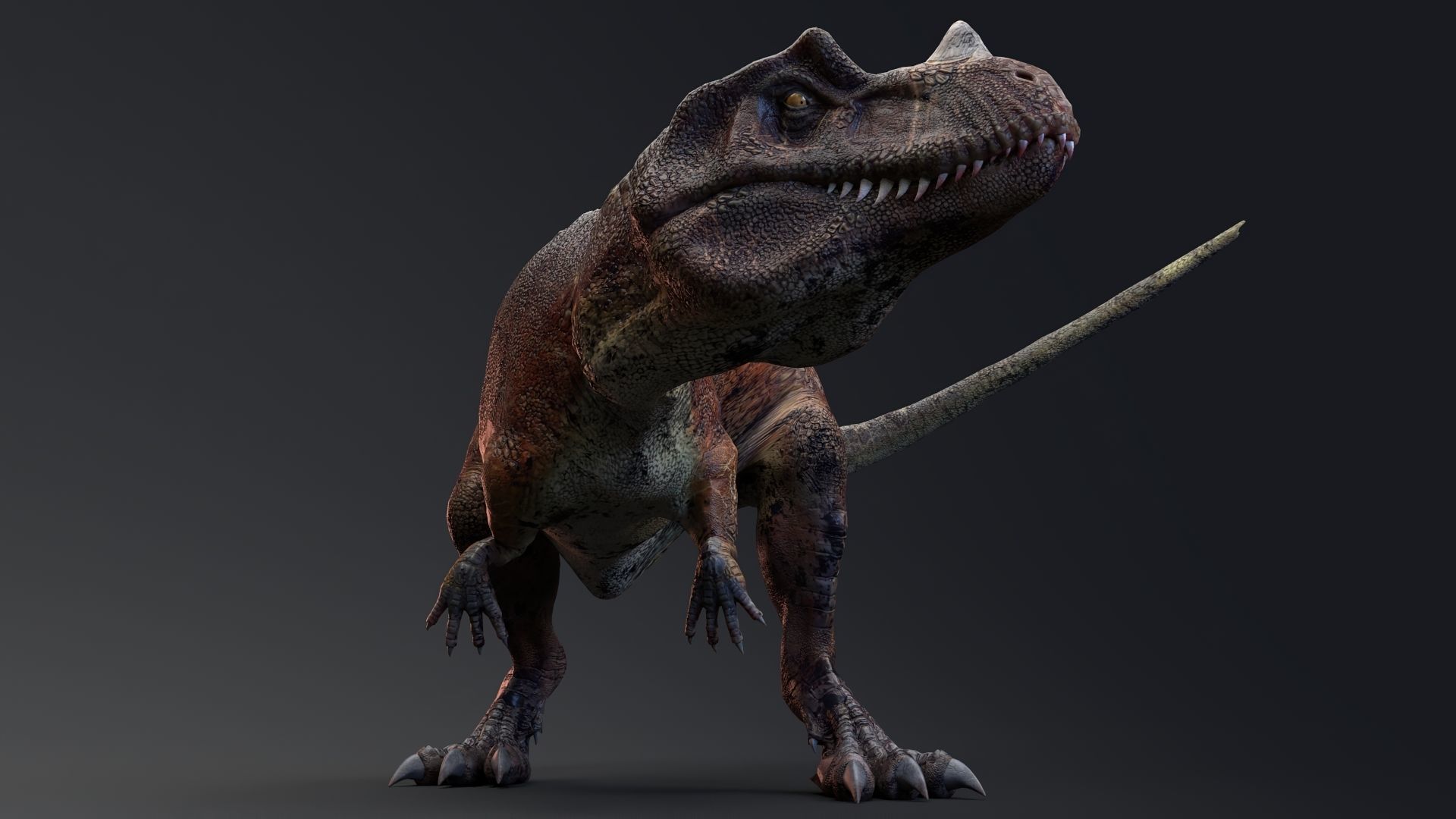 Dinosaur Ceratosaurus Project - Unreal Engine - Unity Low-poly 3D model_9