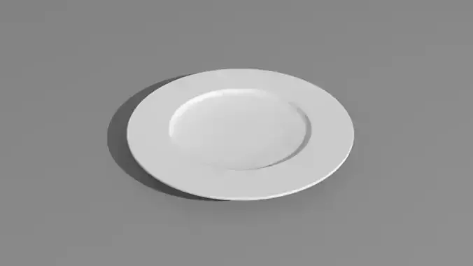 Dinner Plate