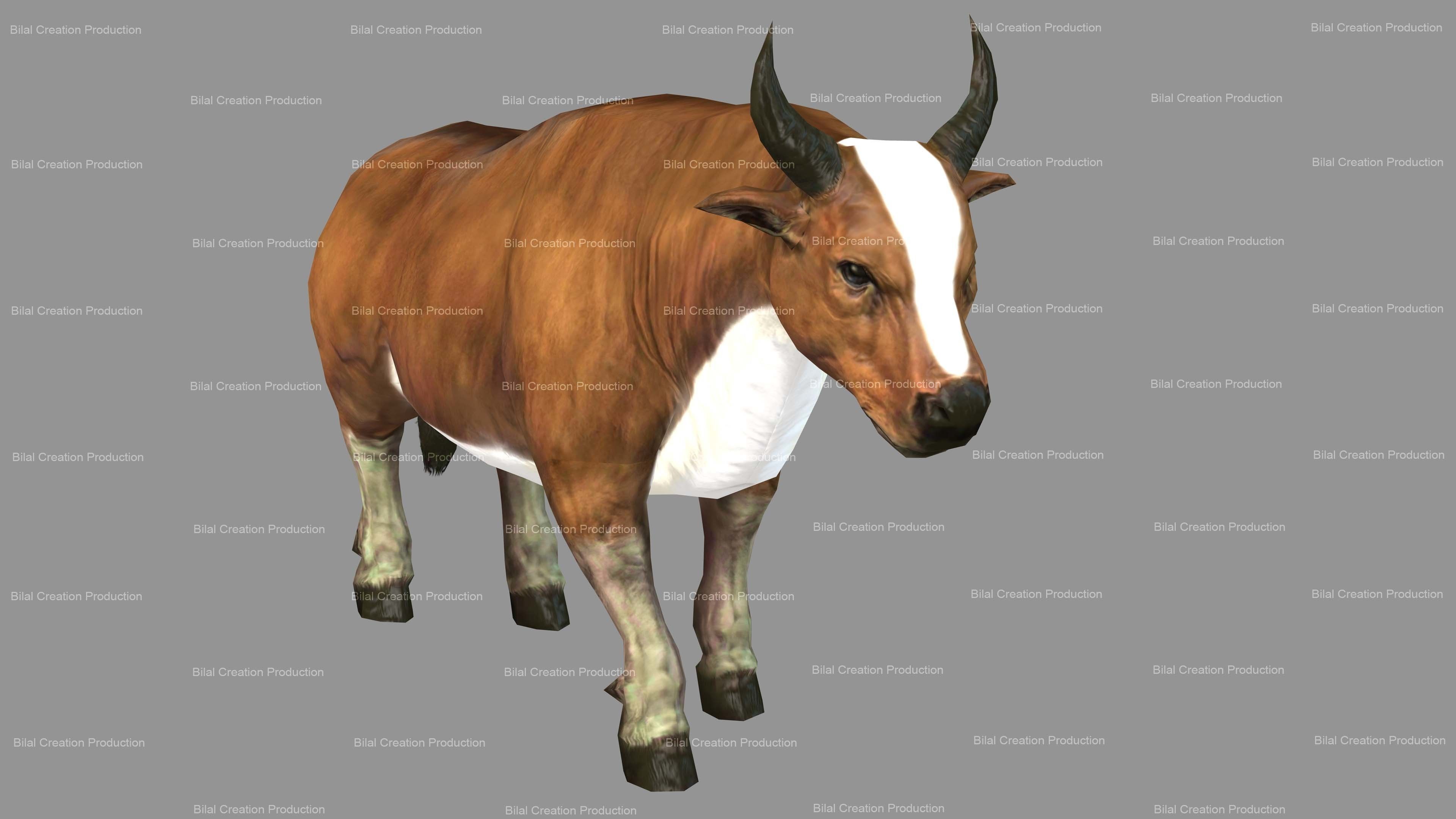 Cow Animated Low-poly 3D model_8