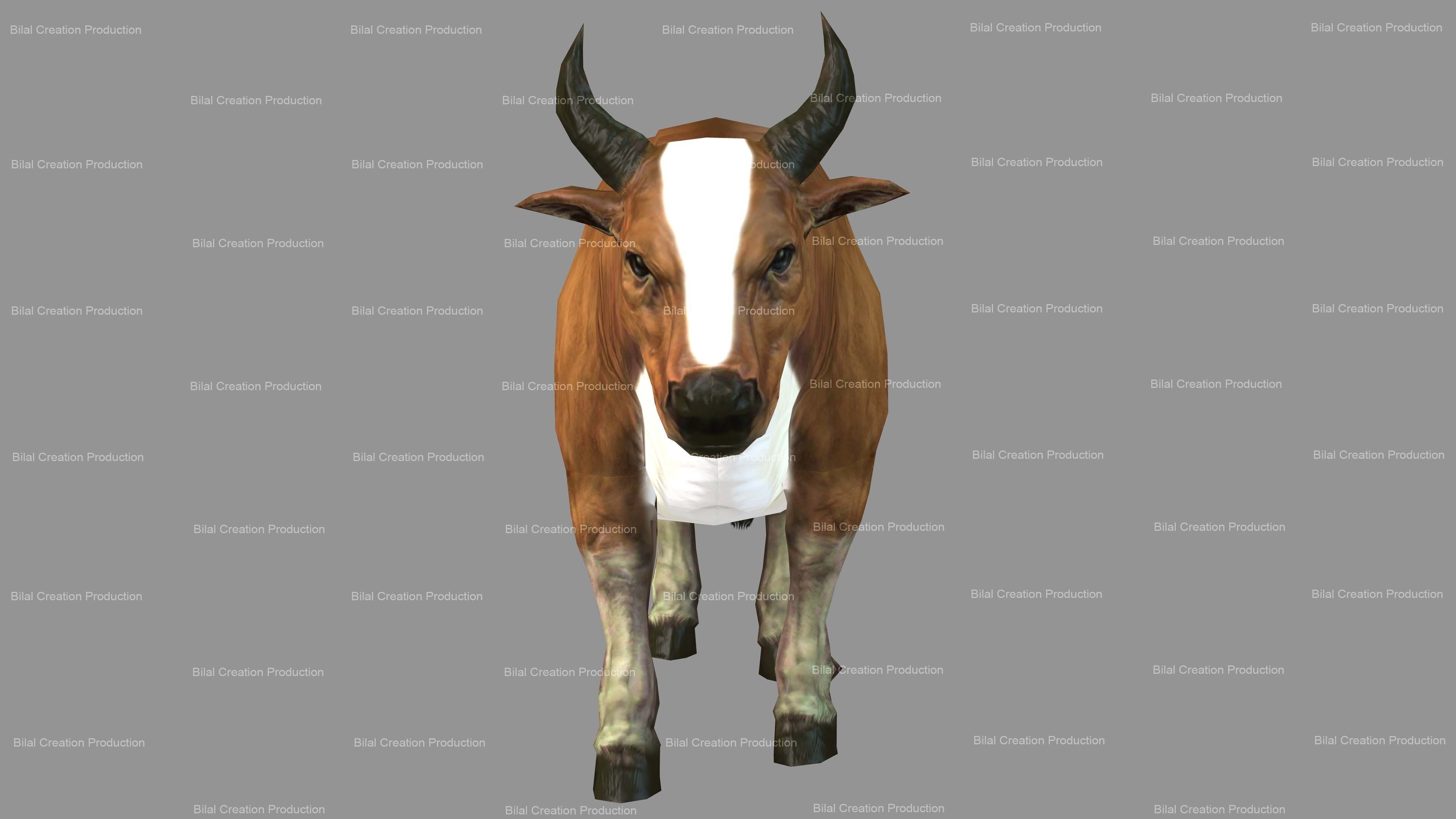 Cow Animated Low-poly 3D model_2