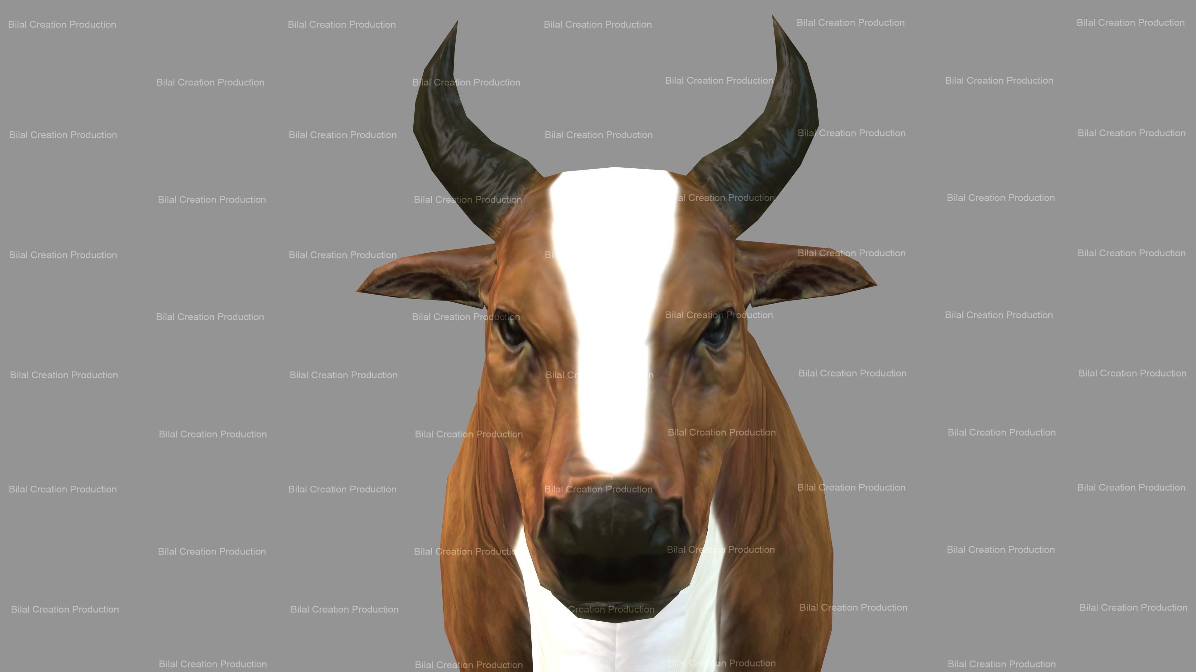 Cow Animated Low-poly 3D model_6