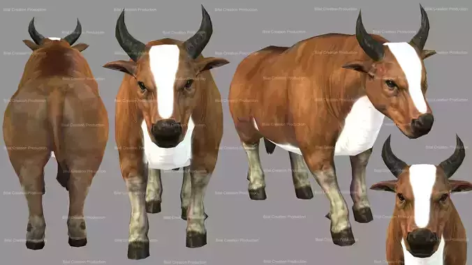 Cow Animated Low-poly 3D model