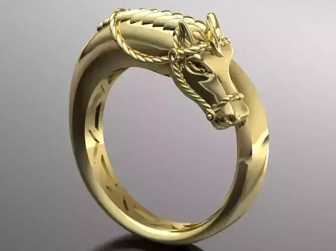 horse ring