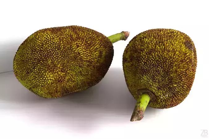 Jackfruit 3D model