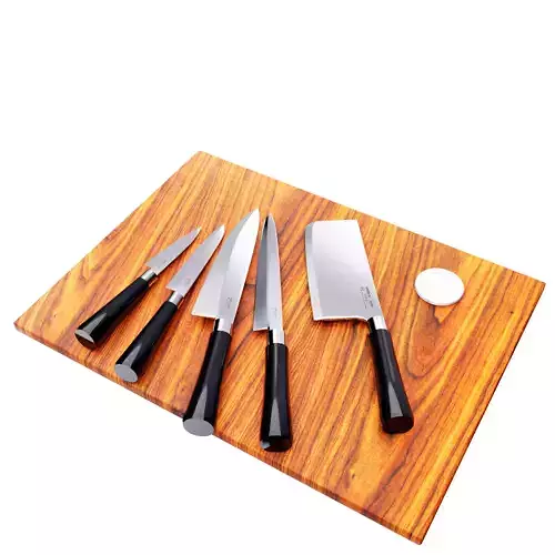 Five knife used in the kitchen
