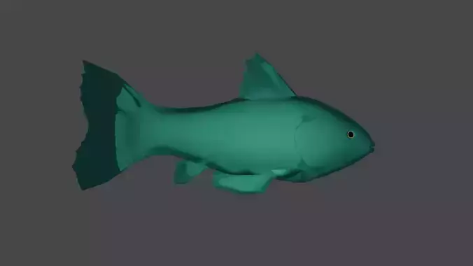 fish 3Dmodel