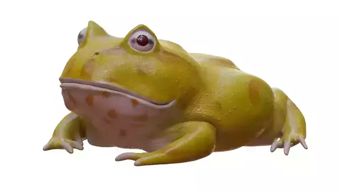 Frog Yellow
