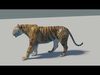 Tiger rigged 3D Model 3D model_1