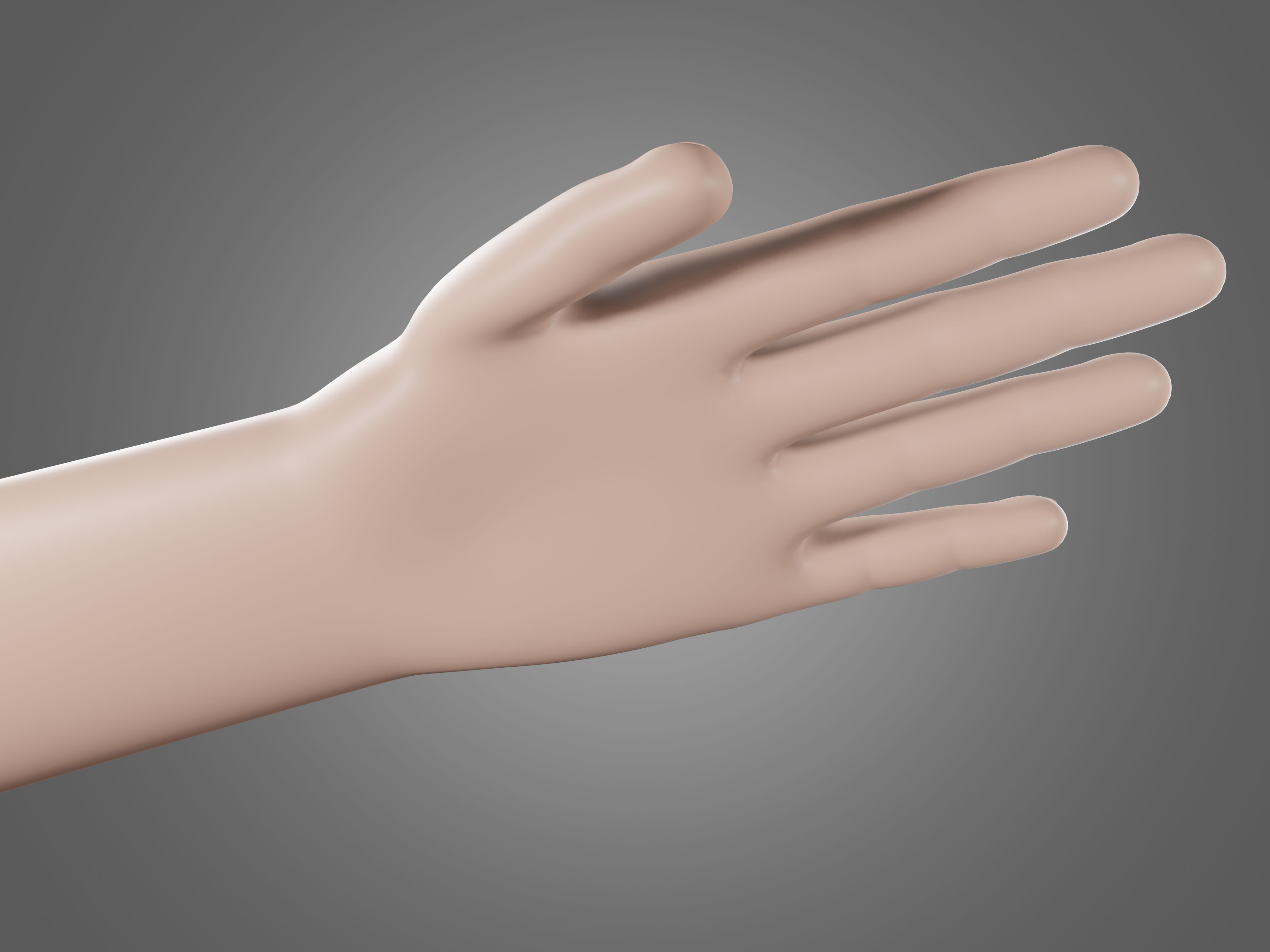 Left hand rigged man minimal style Free 3D model_9