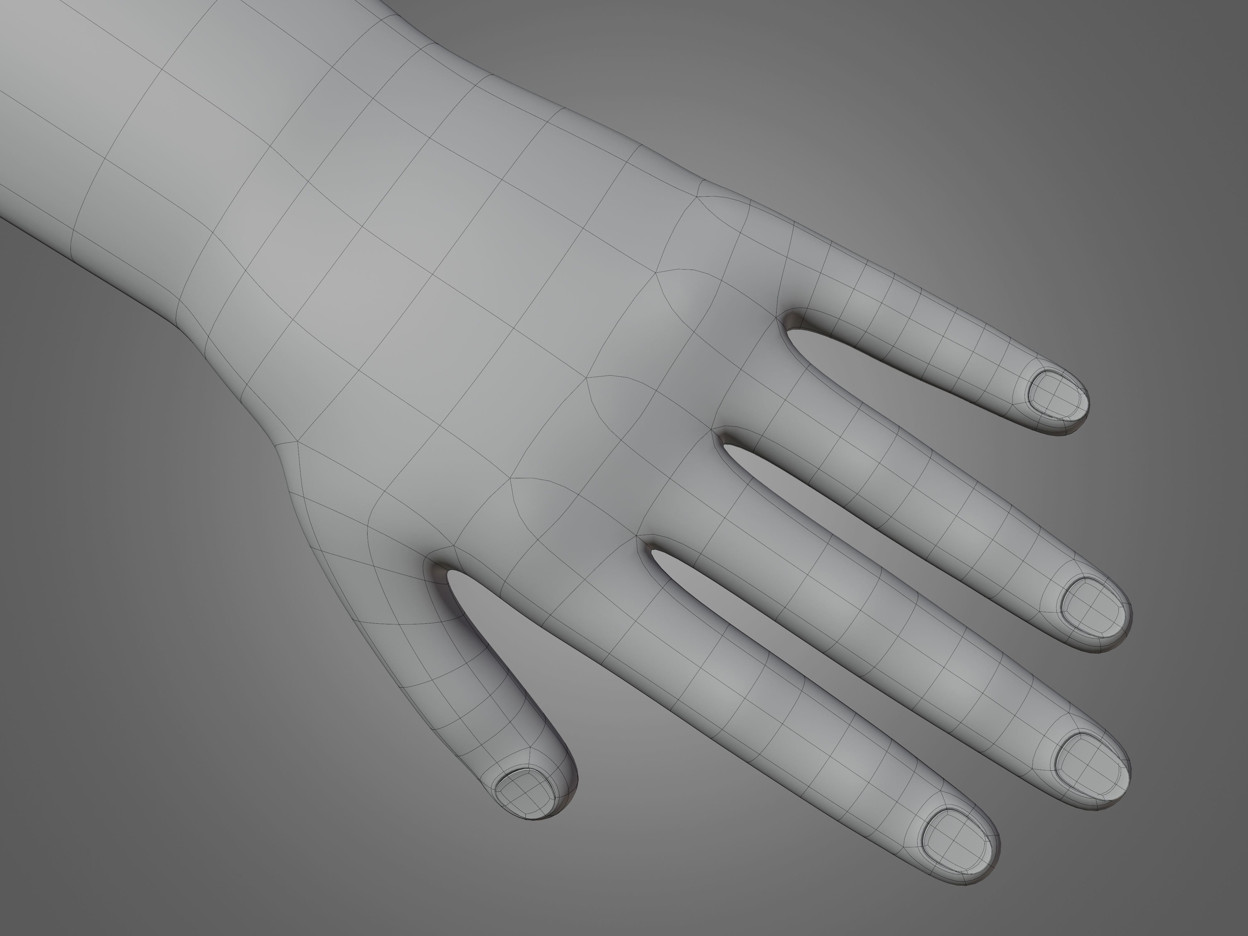 Left hand rigged man minimal style Free 3D model_15